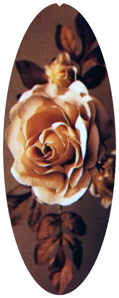 DNSA18-071 Imperial Rose Brown